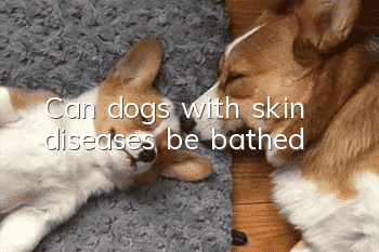 Can dogs with skin diseases be bathed?