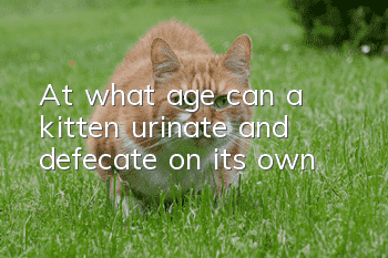 At what age can a kitten urinate and defecate on its own?