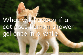 What will happen if a cat uses human shower gel once in a while?
