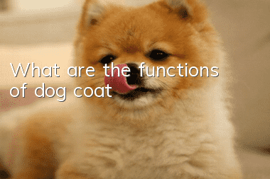 What are the functions of dog coat?