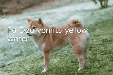 Fa Dou vomits yellow water