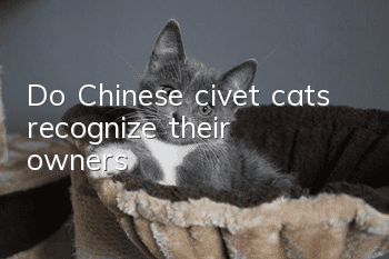 Do Chinese civet cats recognize their owners?
