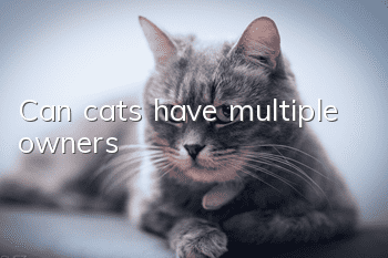 Can cats have multiple owners?
