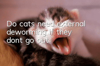 Do cats need external deworming if they don’t go out?
