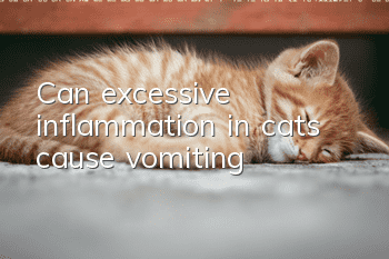 Can excessive inflammation in cats cause vomiting?