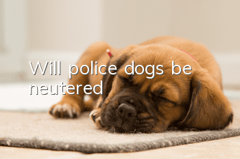 Will police dogs be neutered?