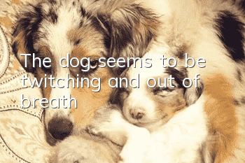 The dog seems to be twitching and out of breath