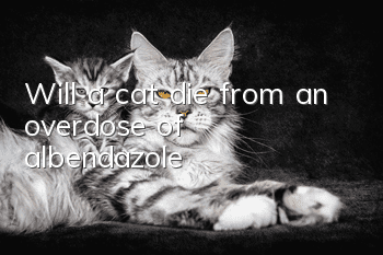 Will a cat die from an overdose of albendazole?