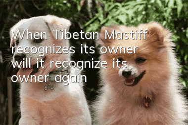 When Tibetan Mastiff recognizes its owner, will it recognize its owner again?