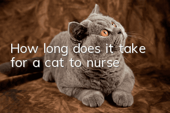 How long does it take for a cat to nurse?