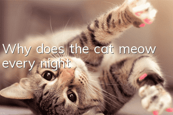 Why does the cat meow every night?
