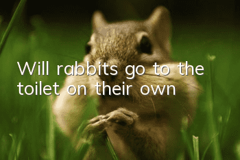 Will rabbits go to the toilet on their own?
