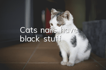 Cat's nails have black stuff