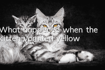 What happened when the kitten vomited yellow?