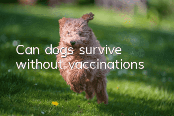Can dogs survive without vaccinations?