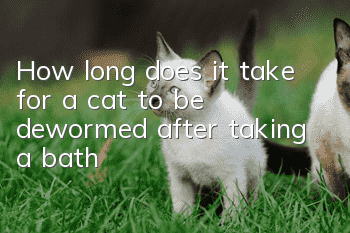 How long does it take for a cat to be dewormed after taking a bath?