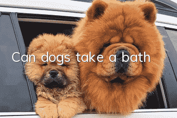 Can dogs take a bath?
