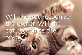 Will the cat recognize the owner? Will the cat recognize the owner?