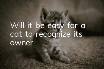 Will it be easy for a cat to recognize its owner?