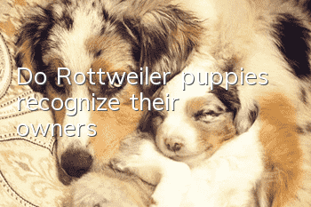 Do Rottweiler puppies recognize their owners?