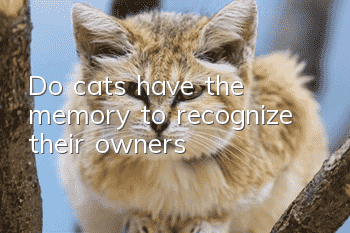 Do cats have the memory to recognize their owners?