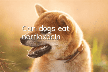 Can dogs eat norfloxacin?