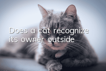 Does a cat recognize its owner outside?