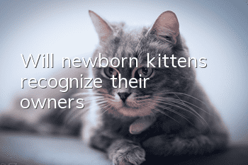Will newborn kittens recognize their owners?