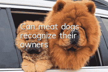 Can meat dogs recognize their owners?