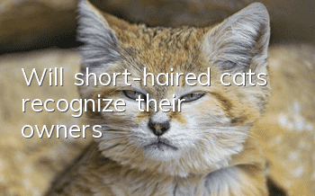 Will short-haired cats recognize their owners?