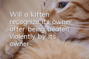 Will a kitten recognize its owner after being beaten violently by its owner?