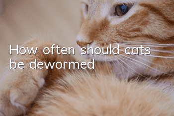 How often should cats be dewormed?