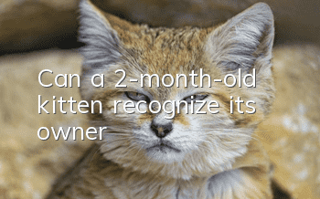 Can a 2-month-old kitten recognize its owner?
