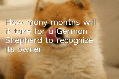 How many months will it take for a German Shepherd to recognize its owner?