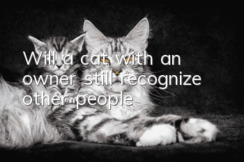 Will a cat with an owner still recognize other people?
