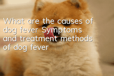 What are the causes of dog fever? Symptoms and treatment methods of dog fever!