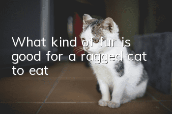 What kind of fur is good for a ragged cat to eat?