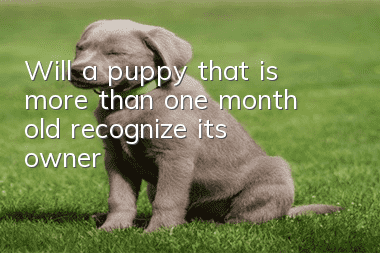 Will a puppy that is more than one month old recognize its owner?