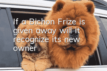 If a Bichon Frize is given away, will it recognize its new owner?