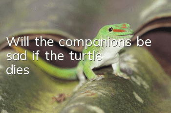 Will the companions be sad if the turtle dies?