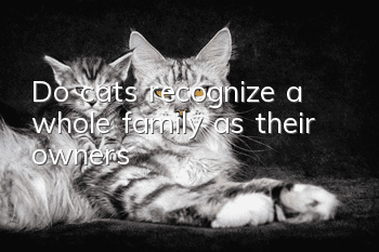 Do cats recognize a whole family as their owners?