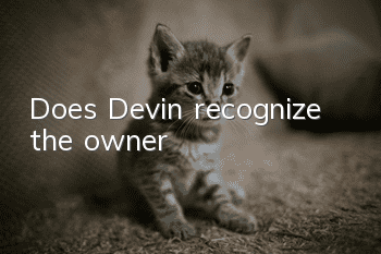 Does Devin recognize the owner?
