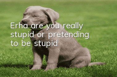 Erha, are you really stupid or pretending to be stupid?
