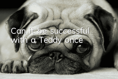 Can it be successful with a Teddy once?