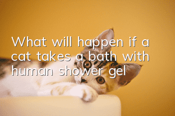 What will happen if a cat takes a bath with human shower gel?