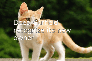 Does Garfield recognize its new owner?