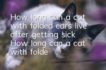 How long can a cat with folded ears live after getting sick? How long can a cat with folded ears live after getting sick?
