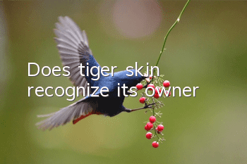 Does tiger skin recognize its owner?