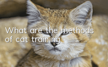 What are the methods of cat training?