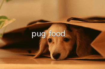 pug food